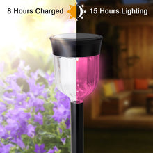 Load image into Gallery viewer, Solar lights color changing - SMY Lighting