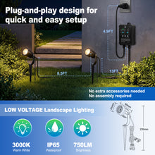 Load image into Gallery viewer, SMY Lighting All-in-One Low Voltage Landscape Lights

