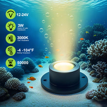 Load image into Gallery viewer, SMY Lighting 3W LED Pond Lights
